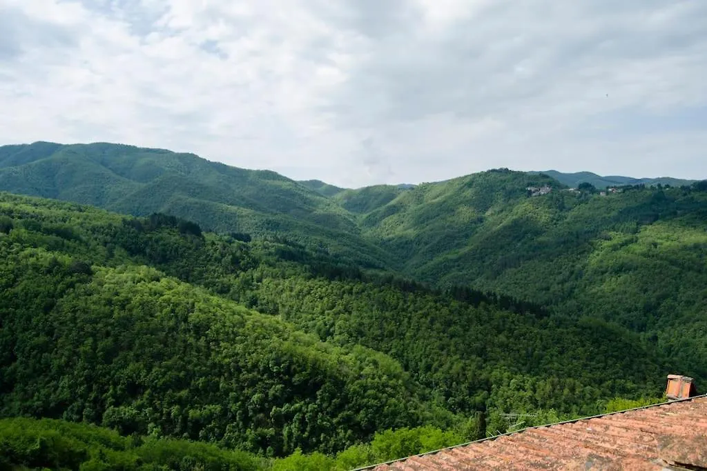 Holiday home The Real Tuscany Casabasciana